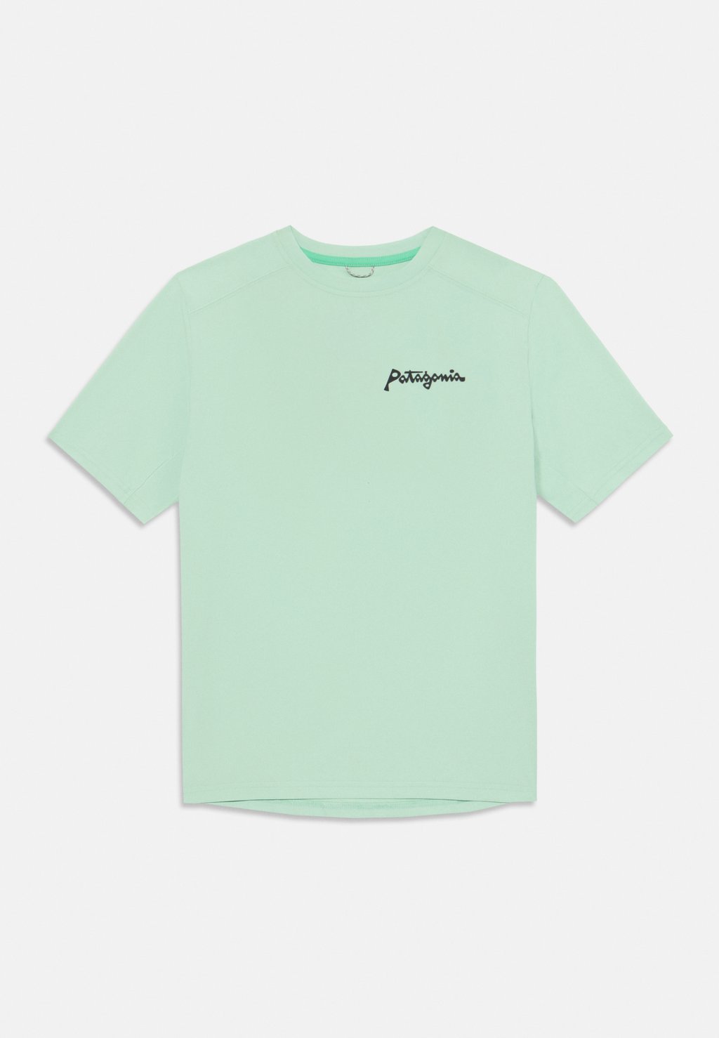 

Футболка с принтом UNISEX Patagonia, мятный
