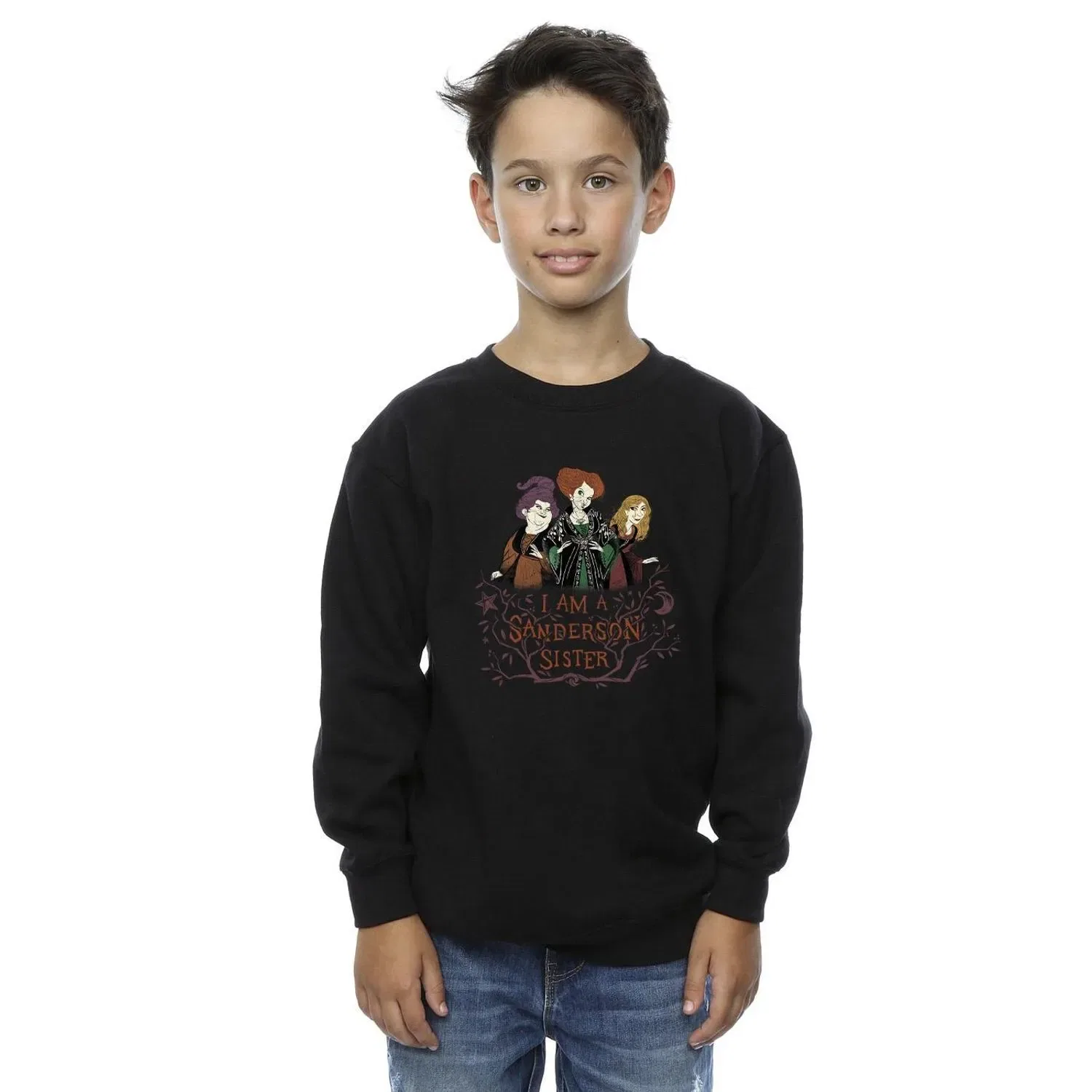 Худи Hocus Pocus Sanderson Sisters Disney, черный