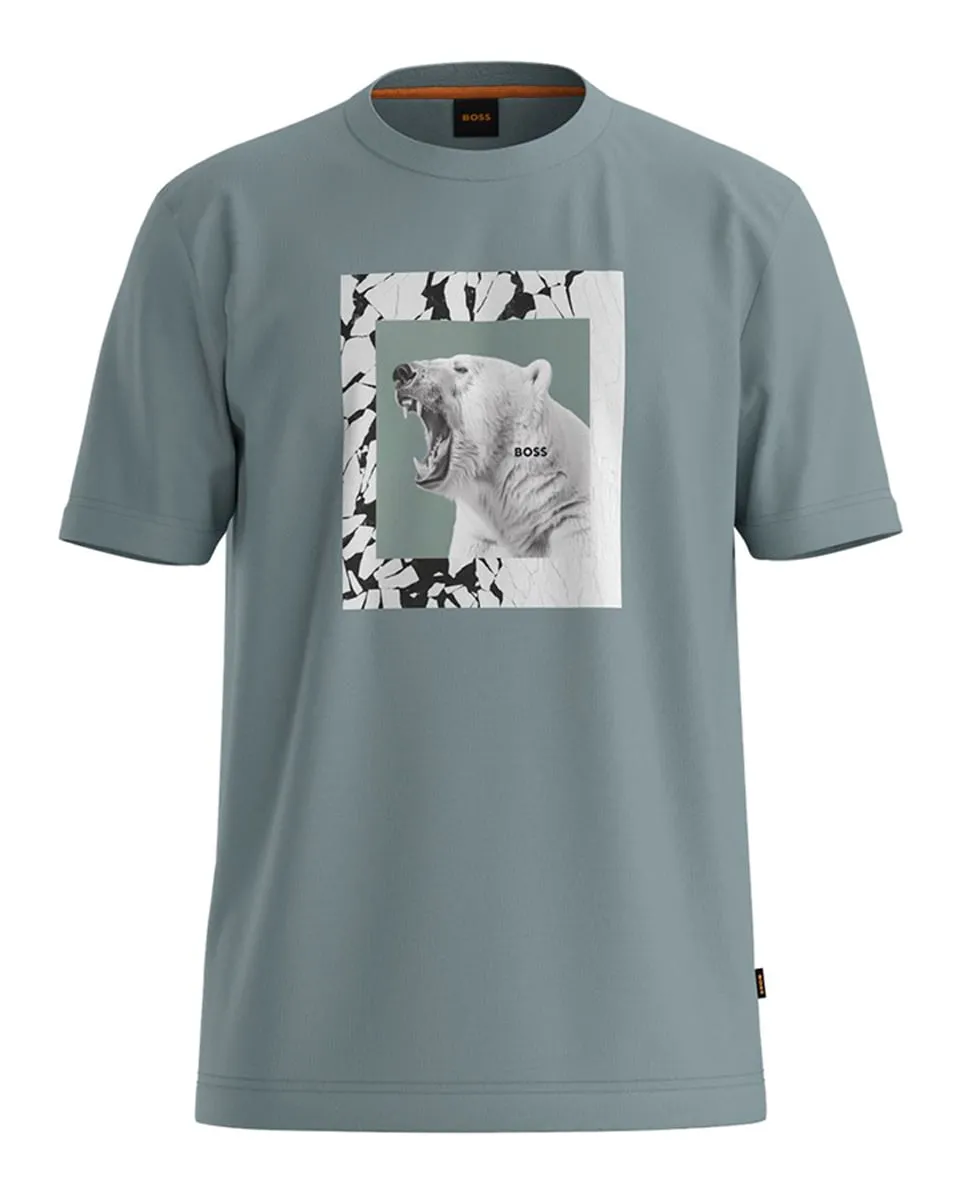 

Мужская футболка с коротким рукавом Boss, зеленый