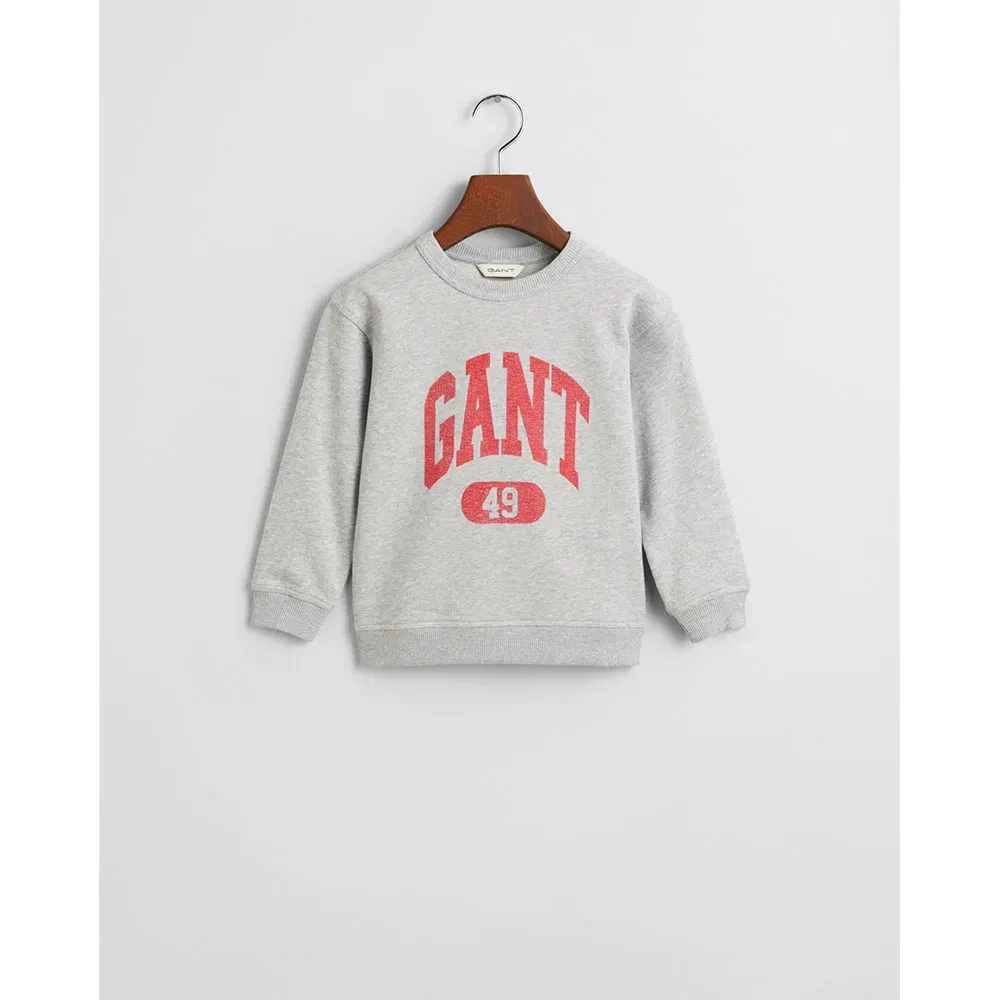 Свитшот Archive Print 806801 Gant, серый