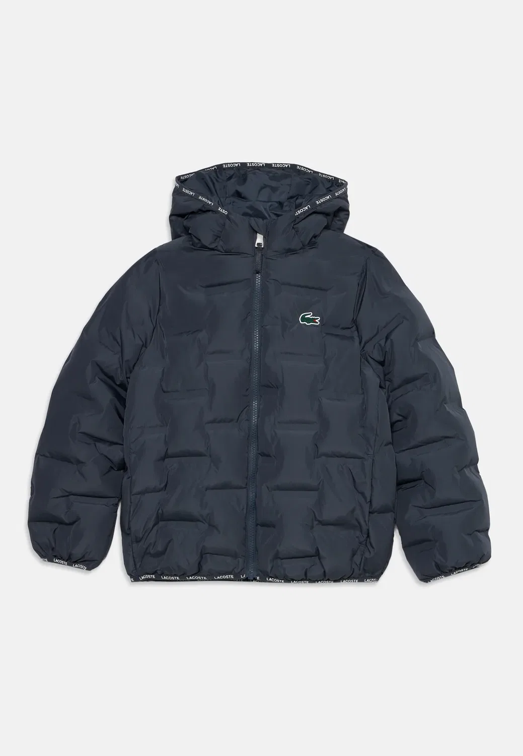 Сварной унисекс - зимняя куртка Lacoste, Graphite