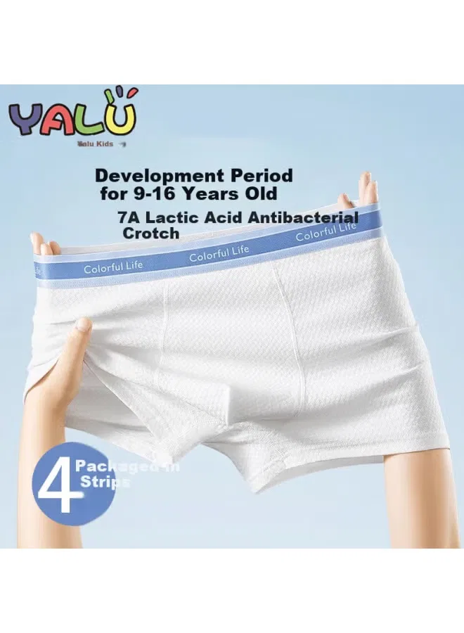 Трусы-шорты детские хлопковые для мальчиков Yalu