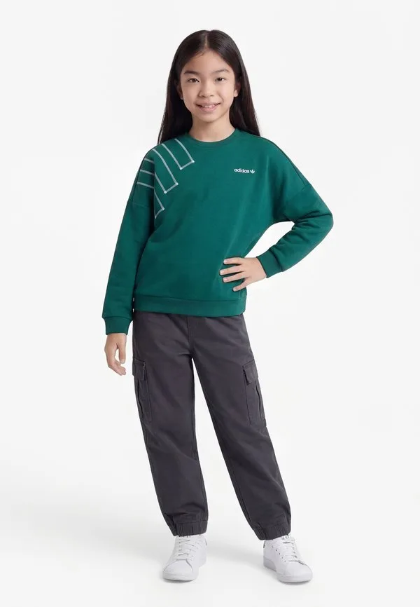 Свободная блочная толстовка для подростков Adidas Originals, Collegiate Green