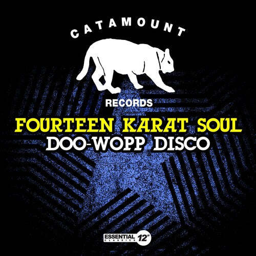 

CD диск Fourteen Karat Soul: DooWoppDisco