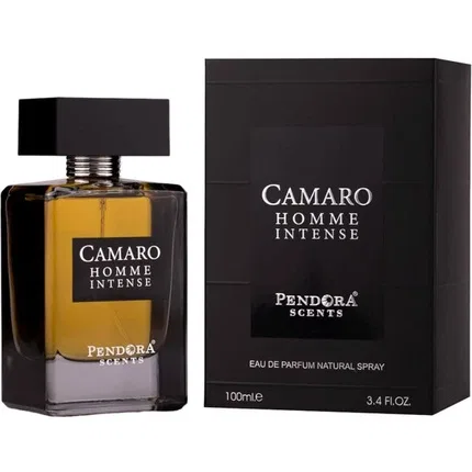 Парфюмерная вода интенсивная Paris Corner Camaro Homme Intense, 100 мл