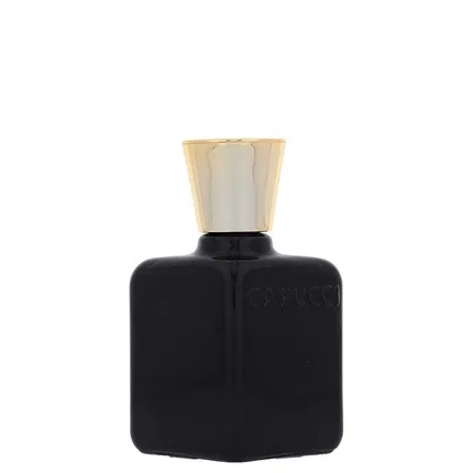 Парфюмерная вода Roberto Capucci Anima Nera for Men, 100 мл