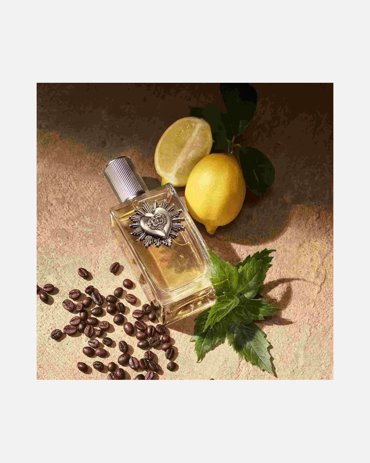 Парфюмированная вода Преданность для мужчин Dolce&Gabbana, 50 Ml — фото 3