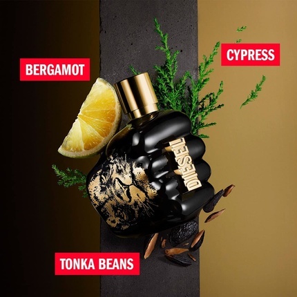 Туалетная вода Diesel Spirit of The Brave — фото 3