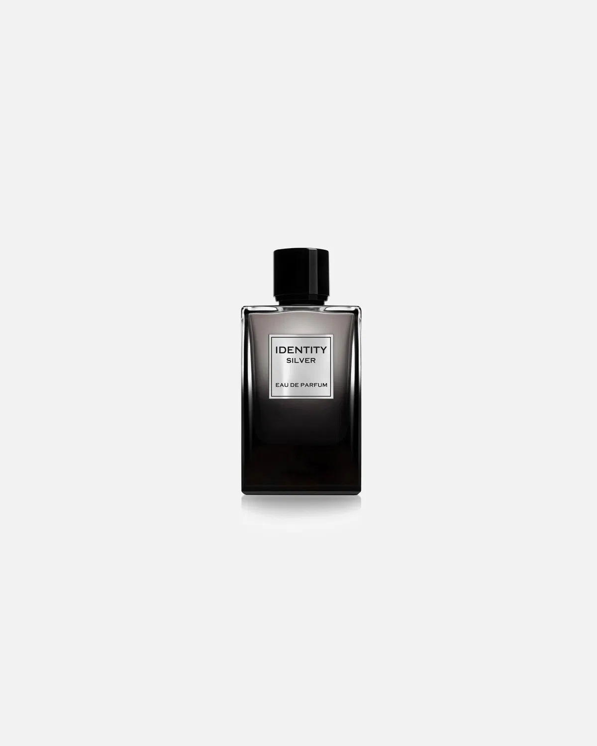 Парфюмированная вода Identity Silver Pour Homme - edp Ga-De, 100 Ml