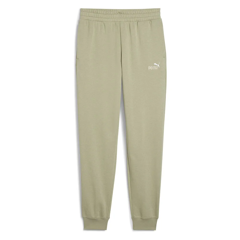 

Спортивные брюки Puma ESS 2 No 1 Logo FL Regular Fit, зеленый