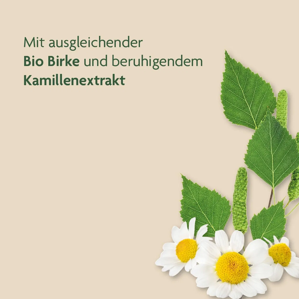 Шампунь для чувствительной кожи головы Schoenenberger Naturkosmetik Bio Birke Schoenenberger — фото 2