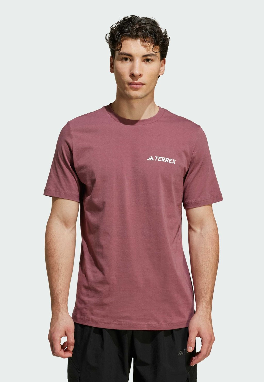 

Футболка с принтом MOUNTAIN Adidas Terrex, красный