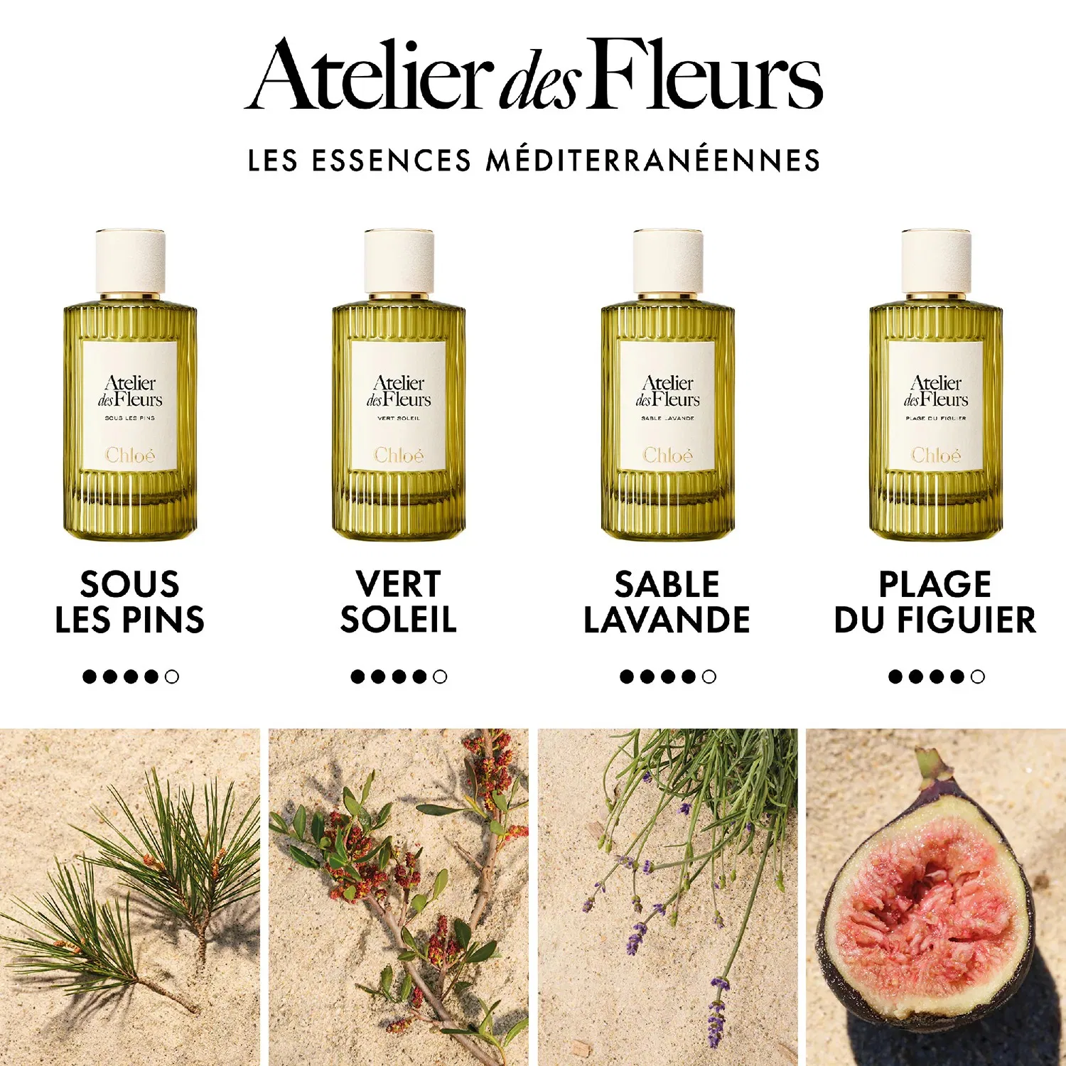 Парфюмерная вода CHLOÉ Atelier des Fleurs Sable Lavande, 50 мл — фото 4