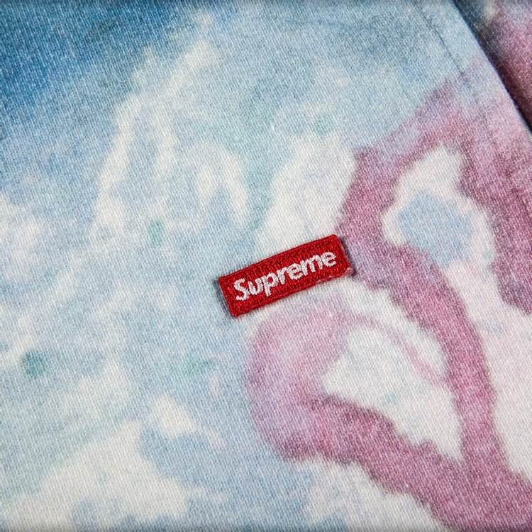 Спортивные шорты Supreme Small Box Sweatshort 'Watercolor Floral', разноцветный — фото 4