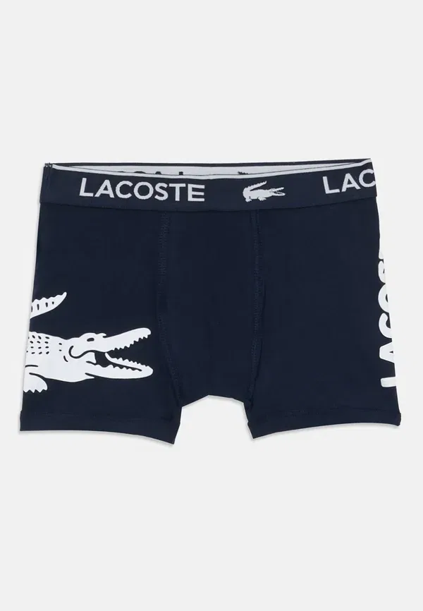 Комплект из 3 трусов-боксеров с графическим рисунком Lacoste, морской — фото 3