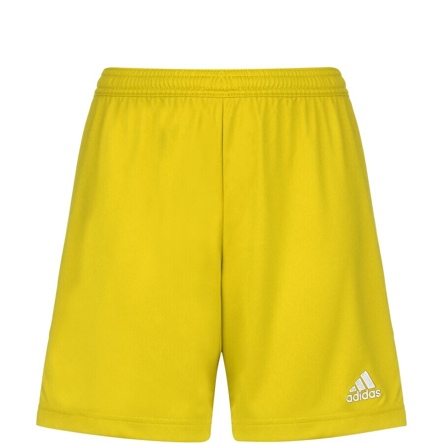 

Брюки ADIDAS PERFORMANCE Regular Workout Pants Entrada 22, желтый