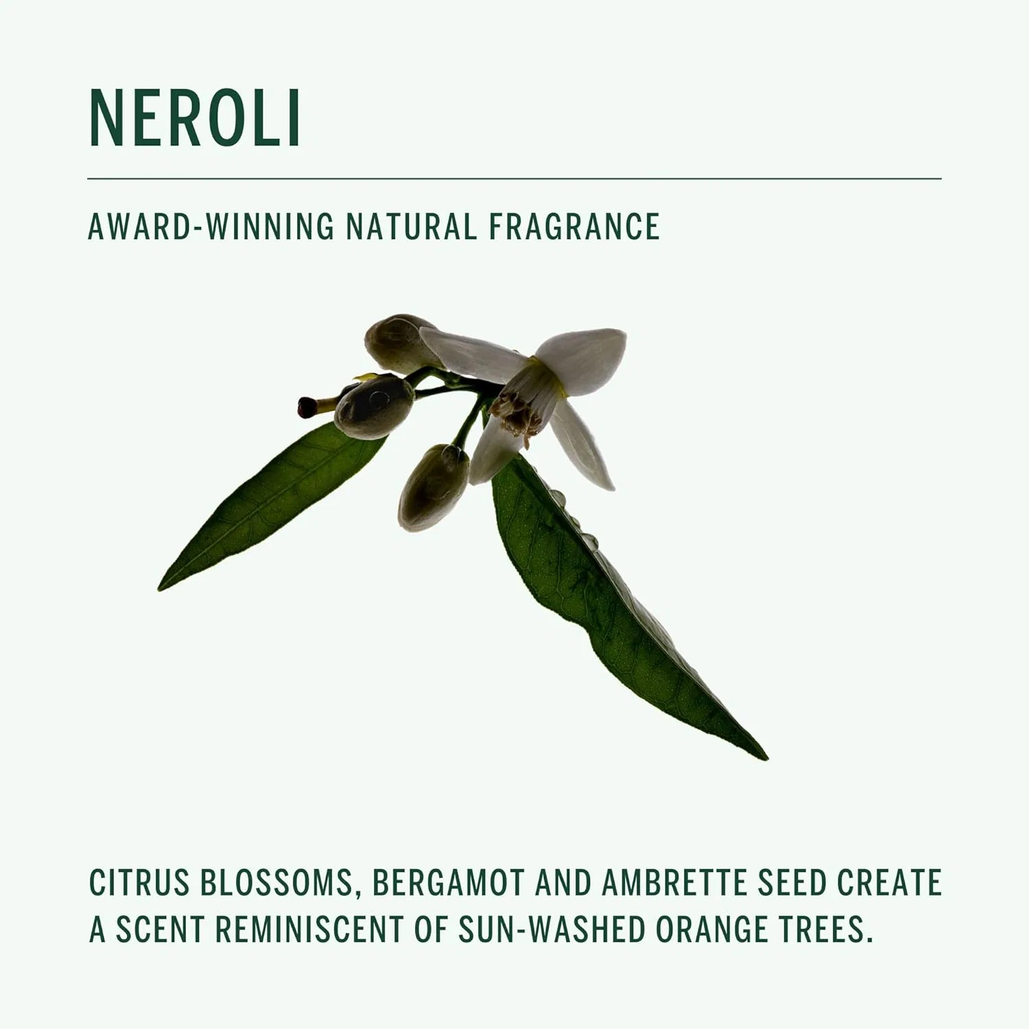 Натуральный дезодорант-стик Corpus, Neroli, 75 г — фото 4