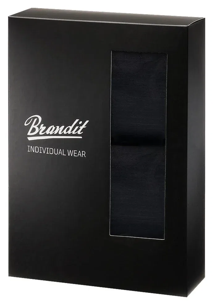 Мужские боксеры логотип 2 Pack Brandit, Black — фото 2