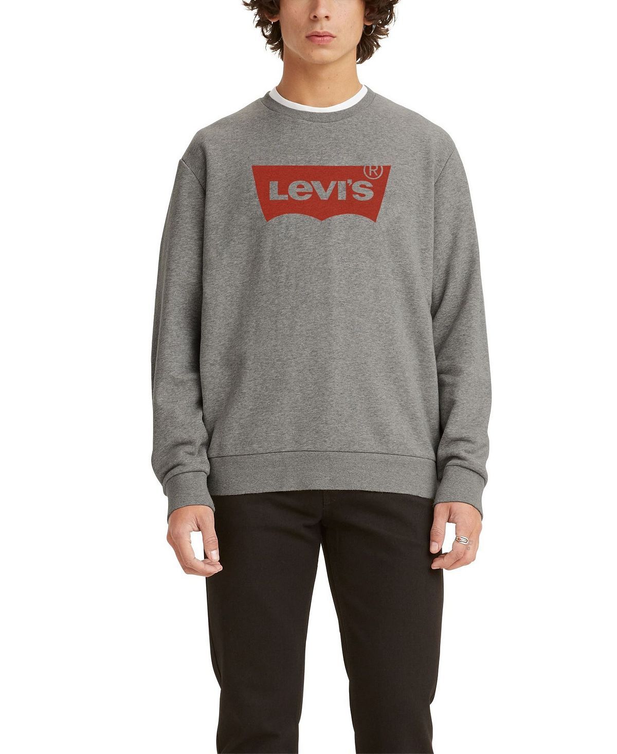 

Мужская толстовка с круглым вырезом и длинным рукавом с рисунком Levi's, мульти, Серый, Мужская толстовка с круглым вырезом и длинным рукавом с рисунком Levi's, мульти