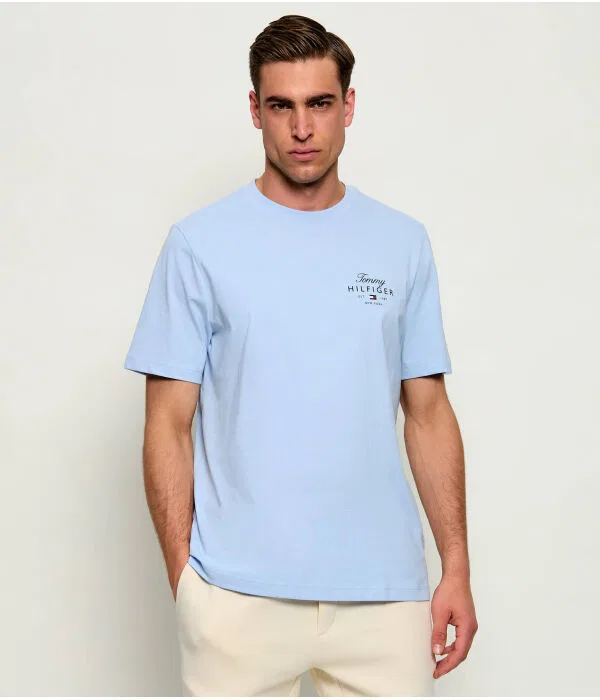 Мужская футболка хлопковая Tommy Hilfiger, Azzurro