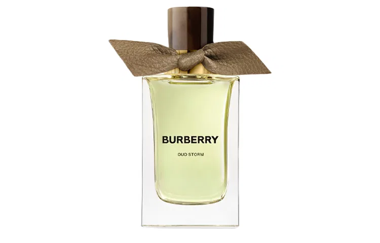 Парфюмерная вода Ebony Storm, 100 мл, Burberry — фото 4