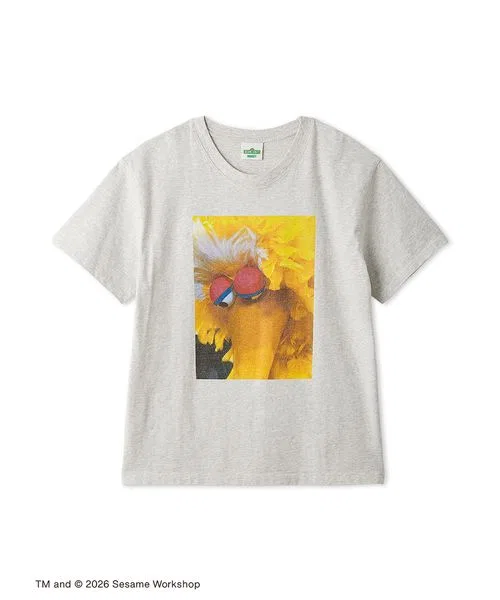 Детская футболка с фотопринтом Vintage Photo SESAME STREET, Light Grey