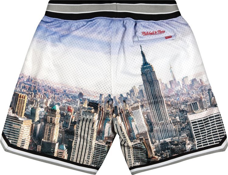 Шорты Supreme x Mitchel And Ness Basketball Short 'Skyline', разноцветный — фото 3