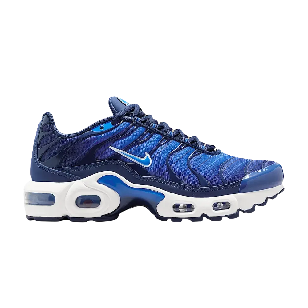 Кроссовки Nike Air Max Plus SE GS, синий