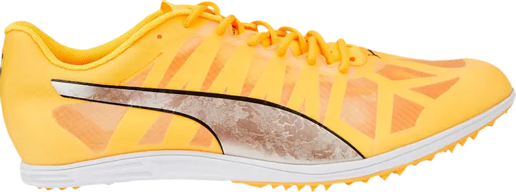

Бутсы Puma evoSpeed Distance 10 Sun Stream Metallic Silver, желтый