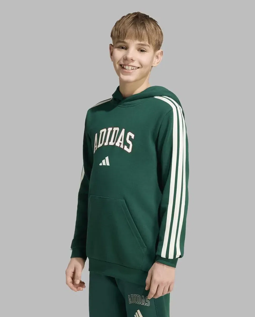 Детская кофта с капюшоном из футера Seasonals Collegiate adidas, Verde — фото 3