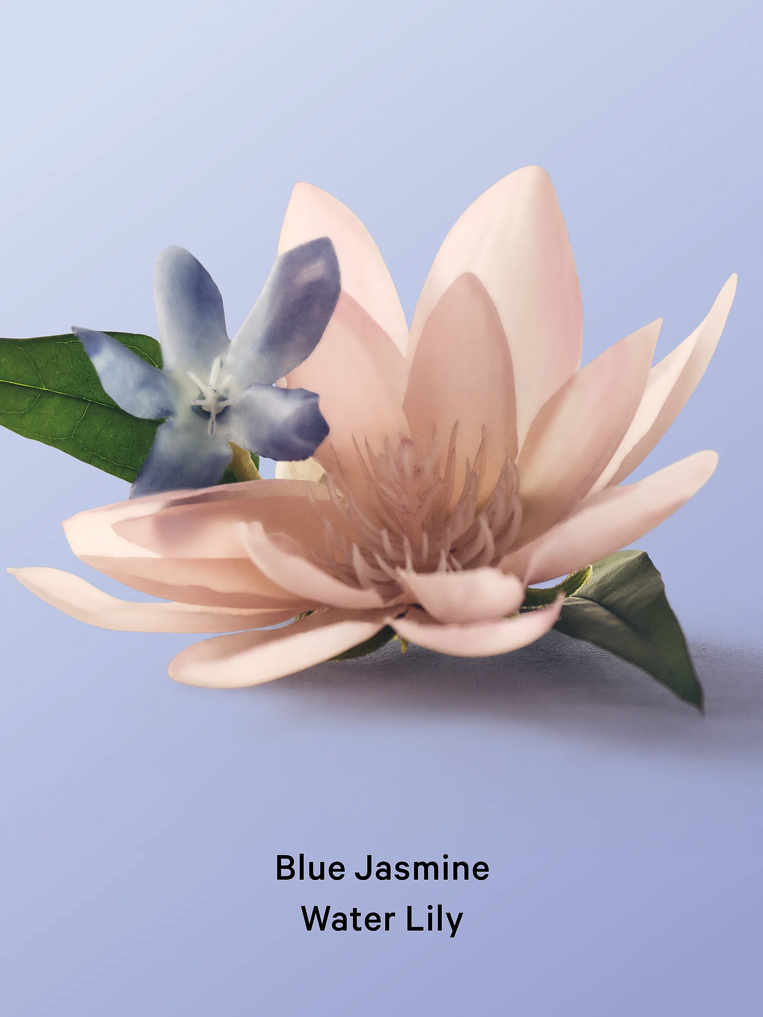 Увлажняющий лосьон для тела Victoria's Secret Blue Jasmine & Water Lily — фото 2