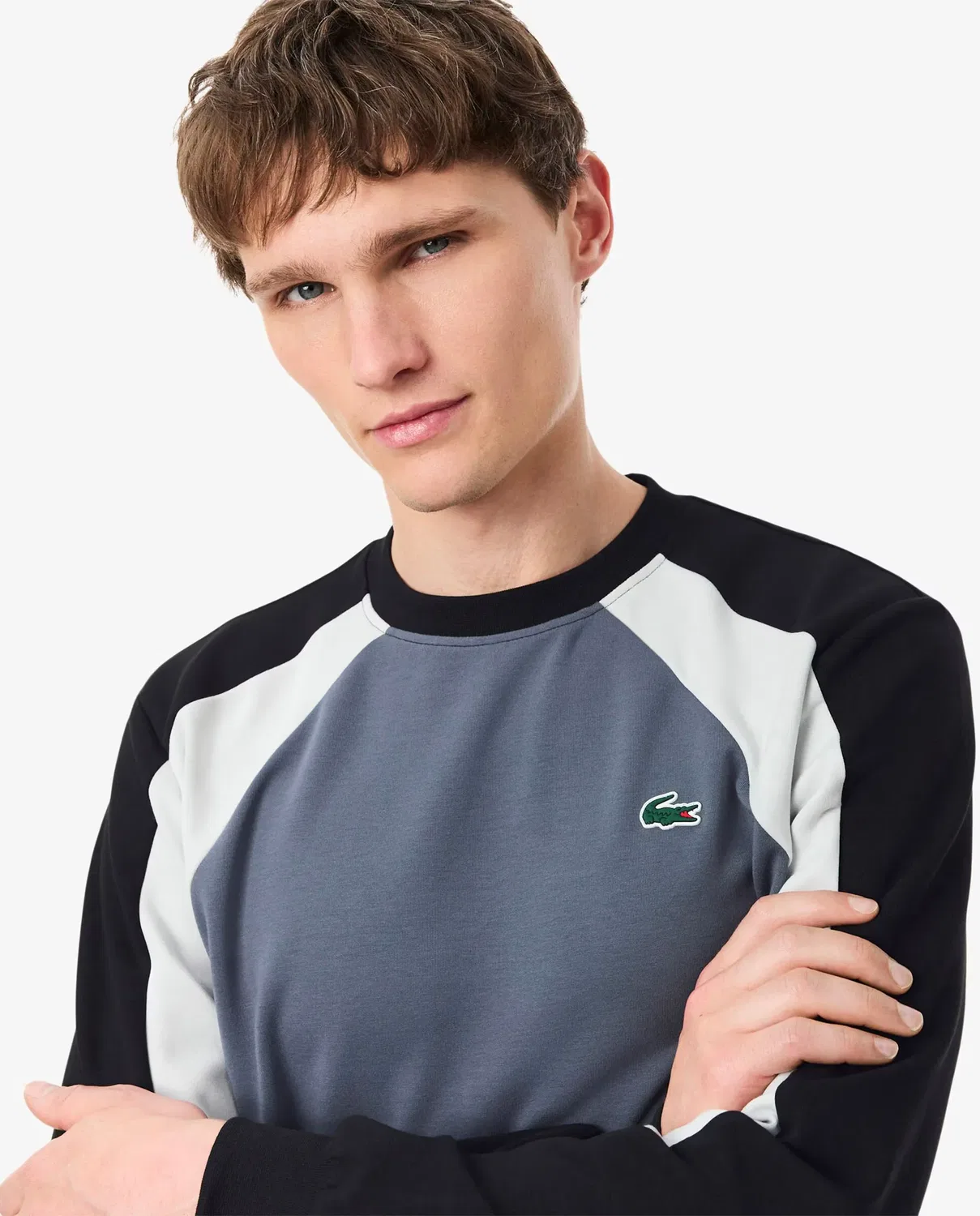 Свитшот Lacoste мужской с цветными блоками, Regular fit, Negro — фото 3