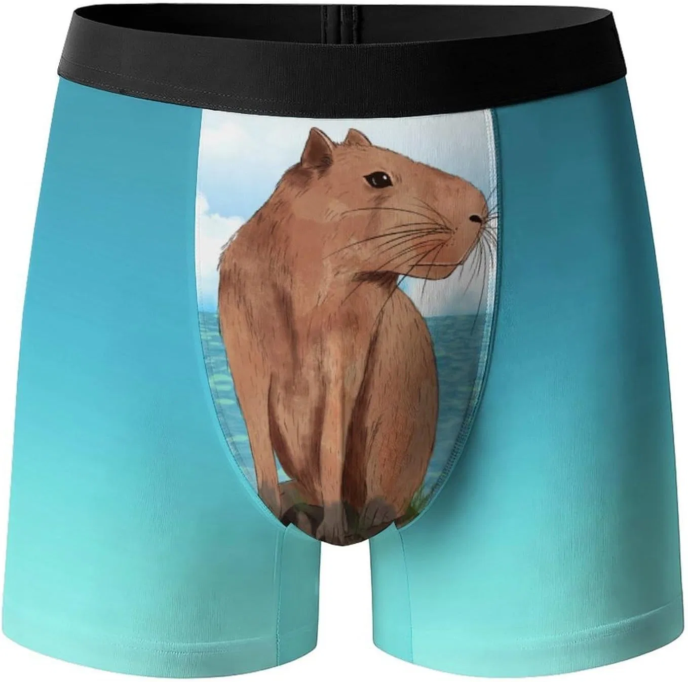 Боксеры с принтом Capybara, Cute Capybara
