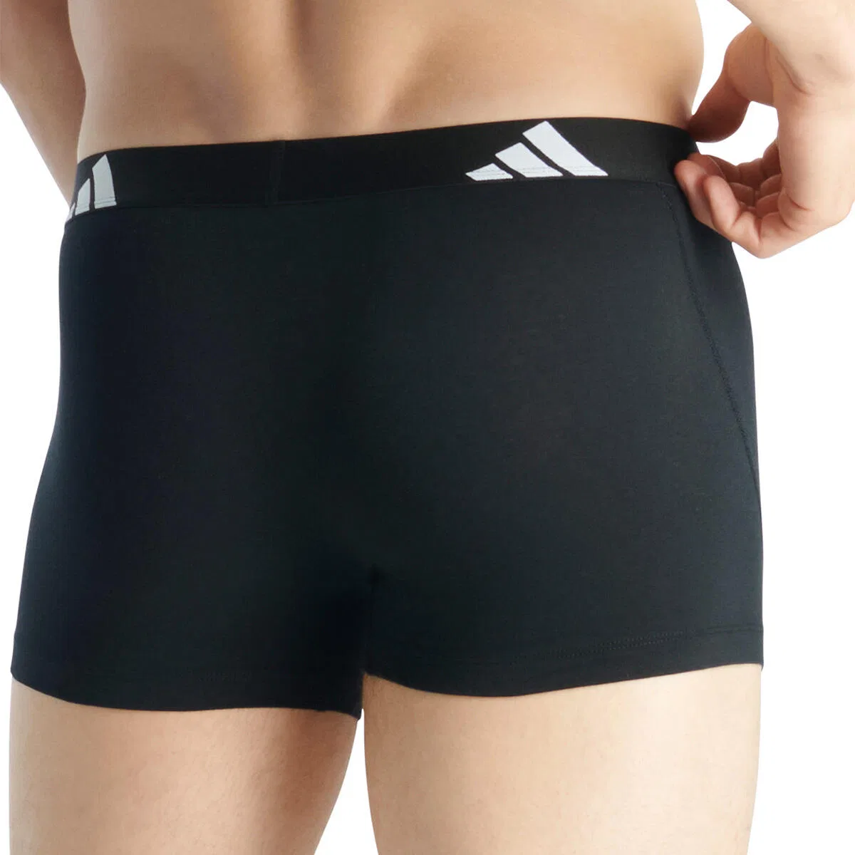 Мужские хлопковые боксеры с принтом Basic Boxer Trunk Adidas, Schwarz — фото 3