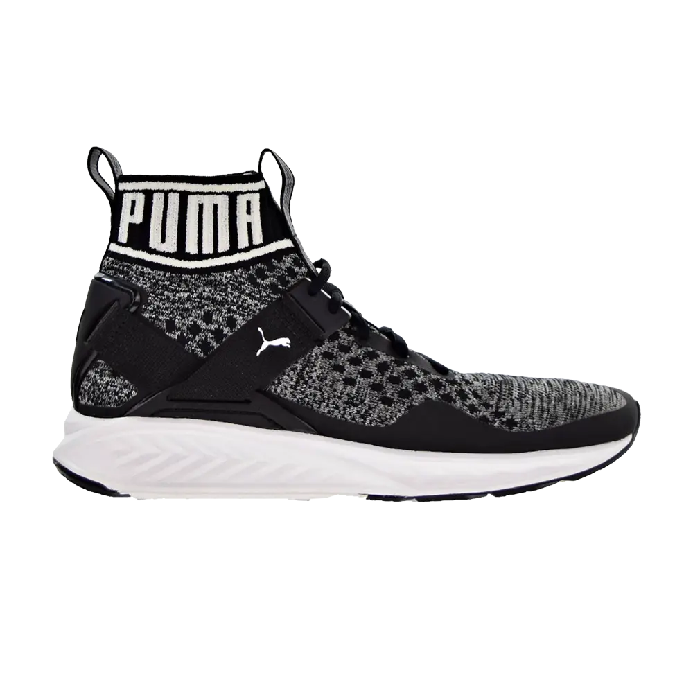 

Кроссовки Ignite evoKnit Puma, черный