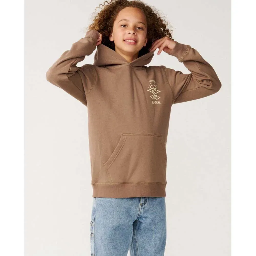 Детское худи для мальчиков с принтом Search Icon Rip curl, Brown — фото 4