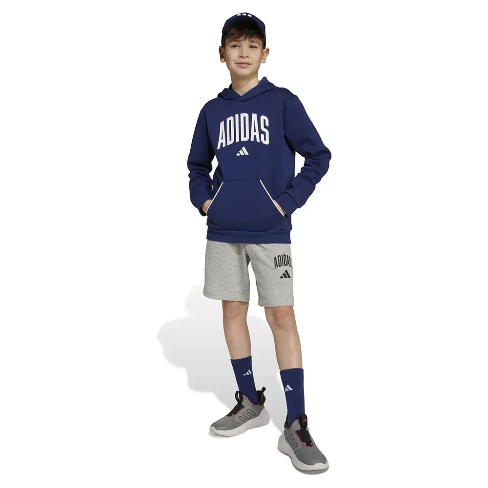 Шорты Adidas Seasonals Essentials Collegiate Typography, серый — фото 3