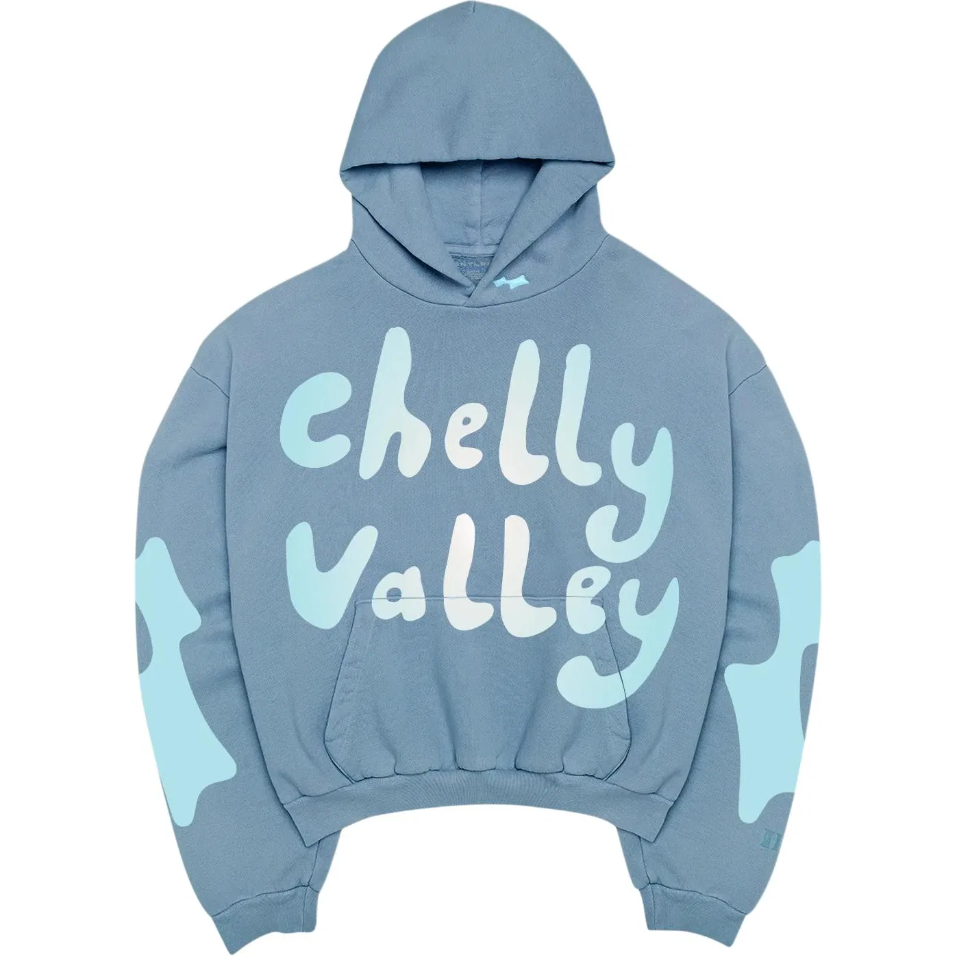 Детская толстовка с принтом CHELLY VALLEY SKYLRK, Blue