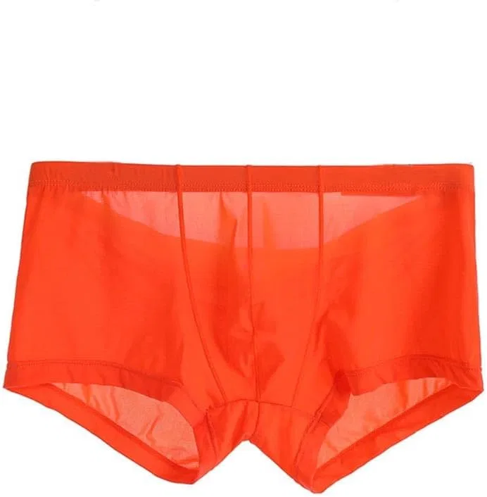 Боксеры шелковистые, Orange