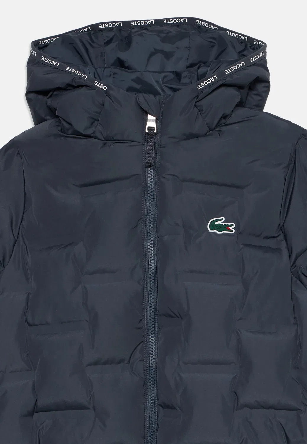 Сварной унисекс - зимняя куртка Lacoste, Graphite — фото 3