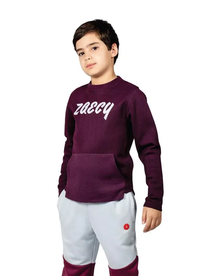 Свитшот с карманом-кенгуру Boy'S regular-fit crew Zaecy, фиолетовый
