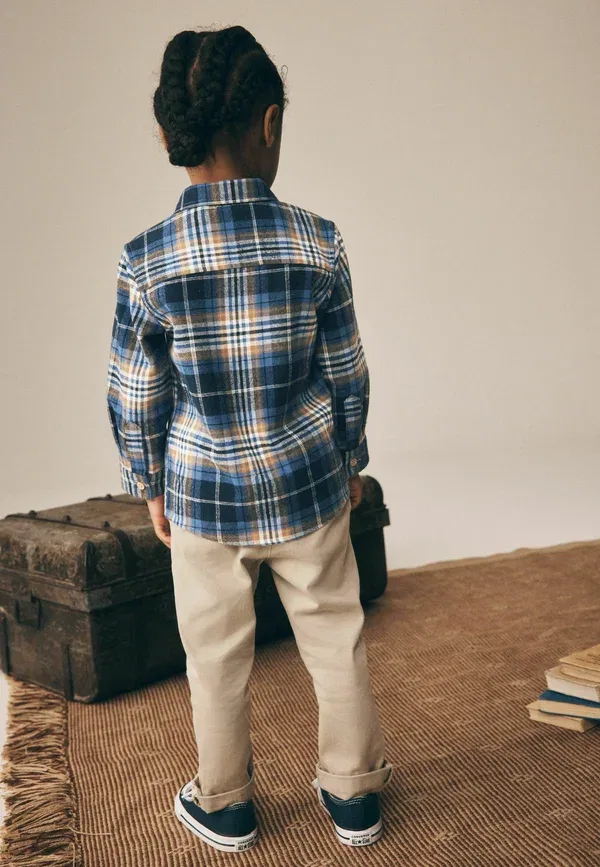 Рубашка с животными Next Regular fit - long sleeve check character shirt - button-down blouse, Next Bear Check, синий — фото 2