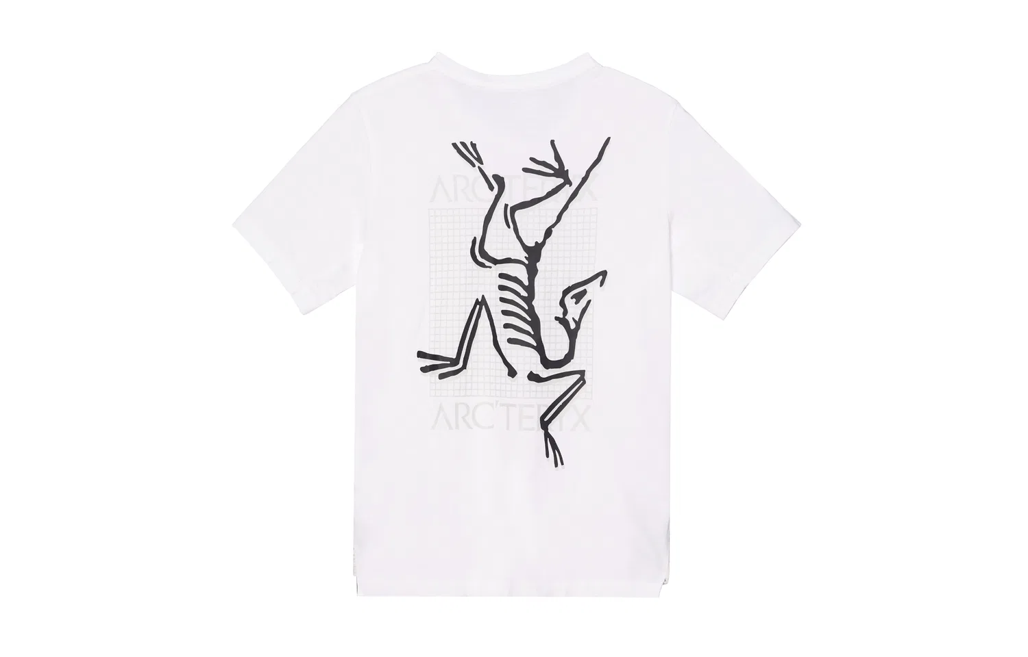 Мужская футболка с принтом Arcteryx, Ink Bamboo Shadow-Ivory White/White Light — фото 3