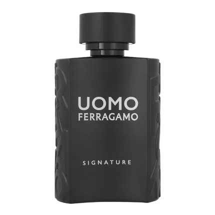 Парфюмерная вода Salvatore Ferragamo Uomo Signature, 100 мл