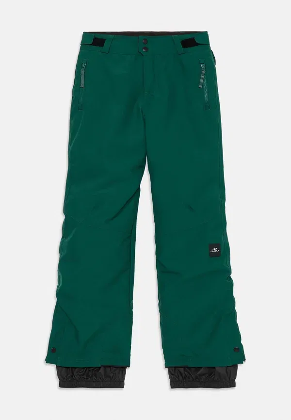 Брюки утепленные Unisex - slidinejimo kelnes O'Neill, Emerald Envy, изумрудный