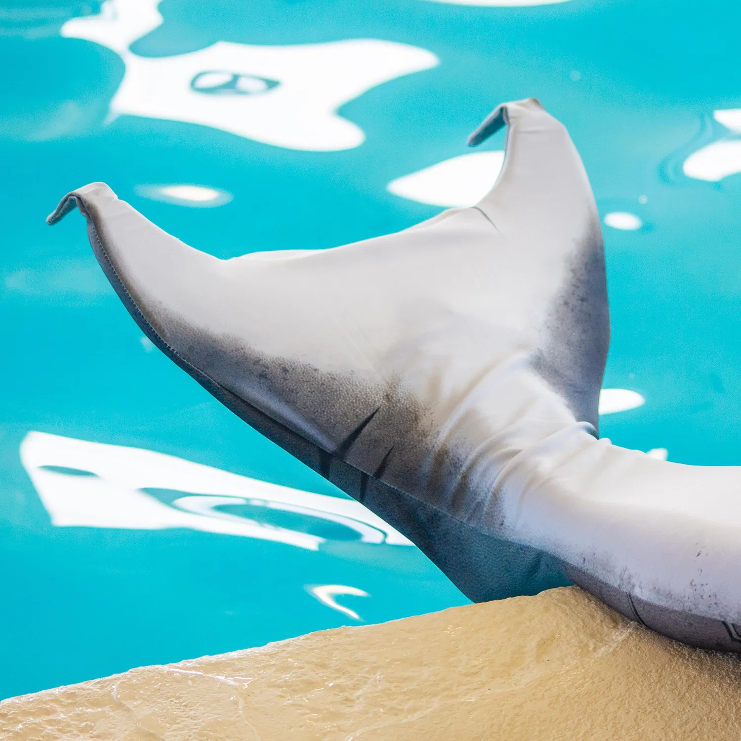 Детский купальник-русалка с моноластой FANTASY Great White Shark Edition Fin Fun, Цвет Grau Finfun — фото 4