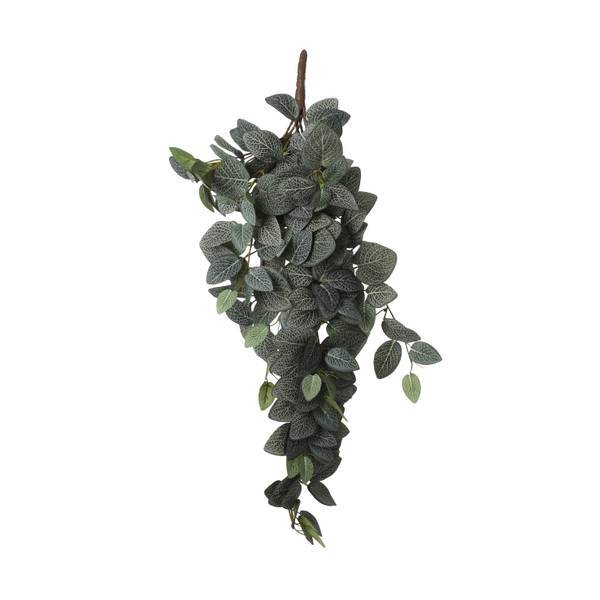 

Декоративное растение Mica Decorations Fittonia, зеленый