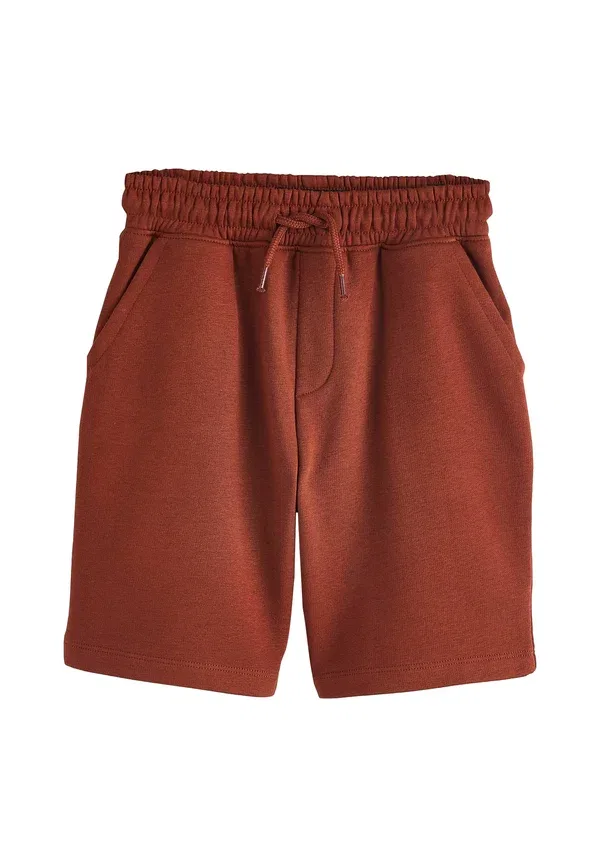 Комплект из 2 брюк спортивных, модель Tracksuit Bottoms, Next, rust brown stone, коричневый — фото 3