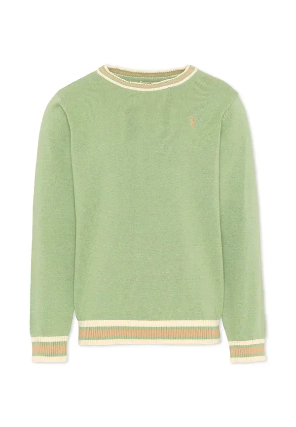 Джемпер с принтом Maglioni Tru Trussardi Junior, green, зеленый