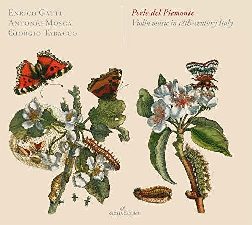 

CD диск Somis / Gatti / Mosca / Tabacco: Perle Del Piemonte - Violin Music in 18Th-Century